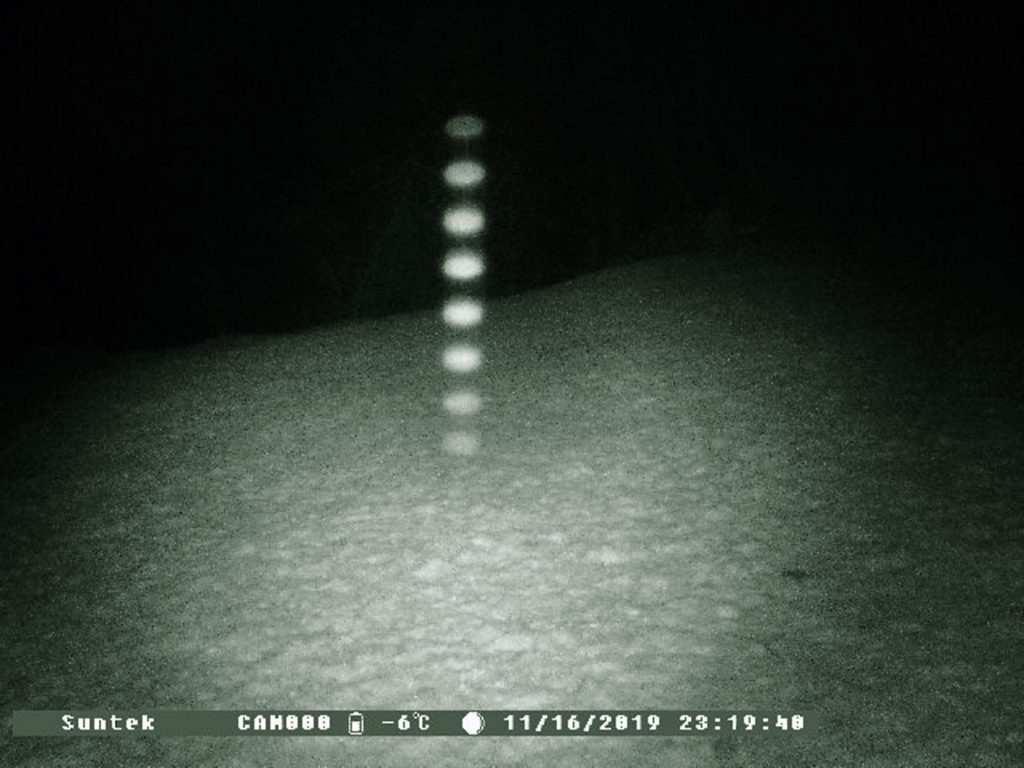 Mystisk fenomen på Kvernhusneset 16. november 2019. Foto: Viltkameraet til Kåre Tafjord