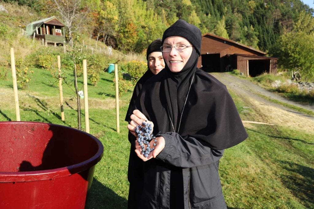 Nonne med druer i hånda. Evig konge cabernet franc.